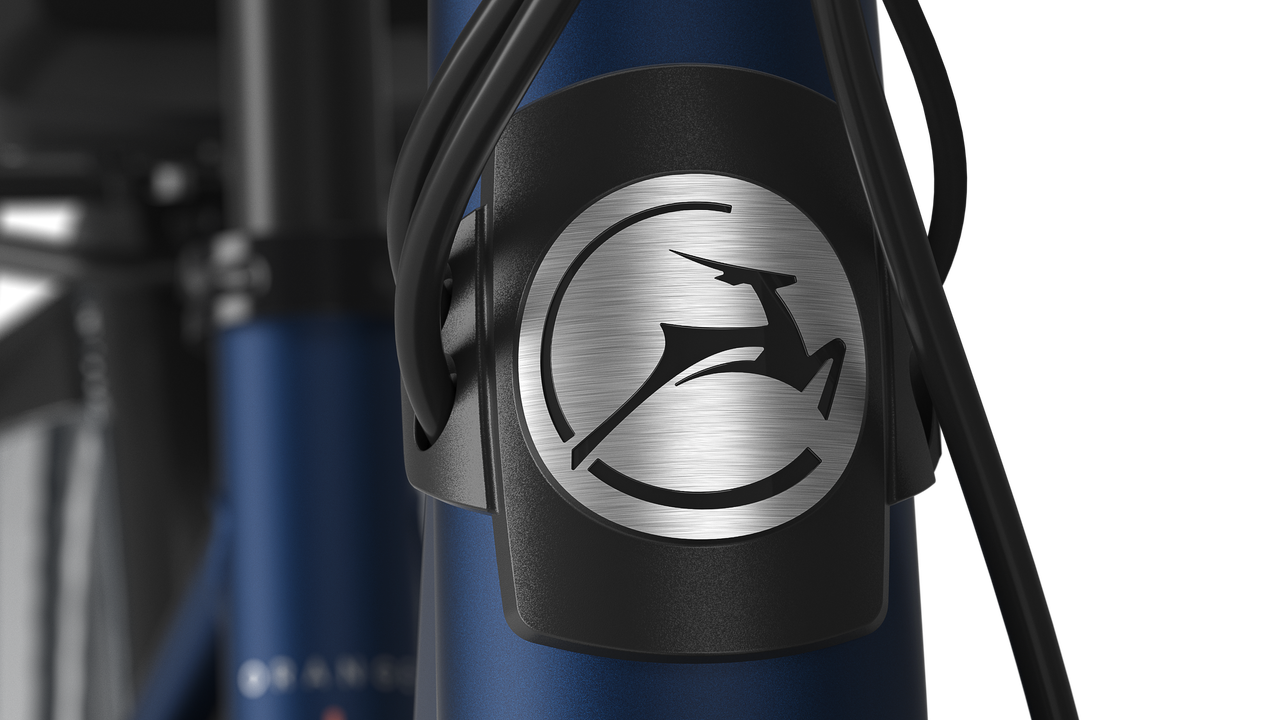 Gazelle Orange C8 26" rower elektryczny low-step żeński (damka) saturn blue
