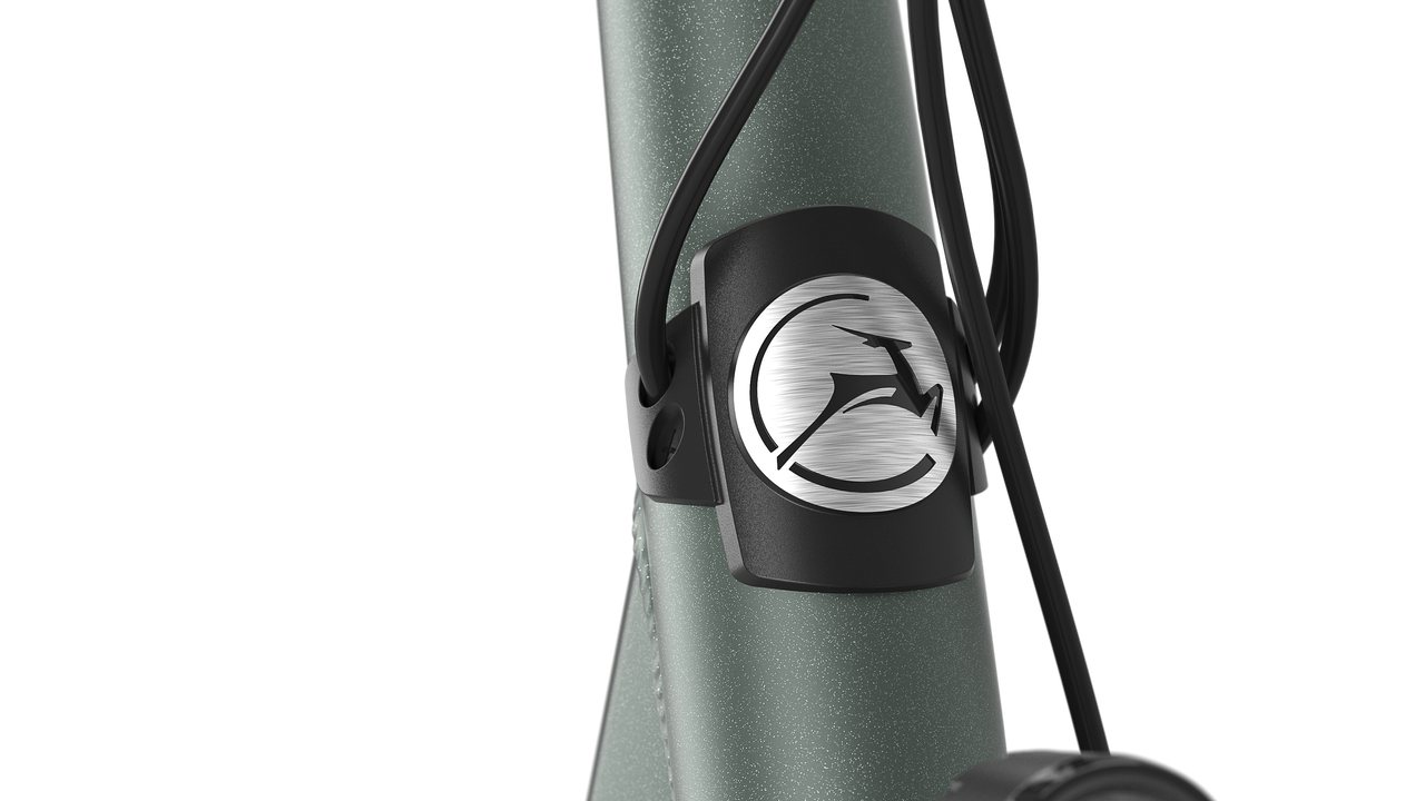 Gazelle Orange C8+ rower elektryczny low-step żeński (damka) twilight green