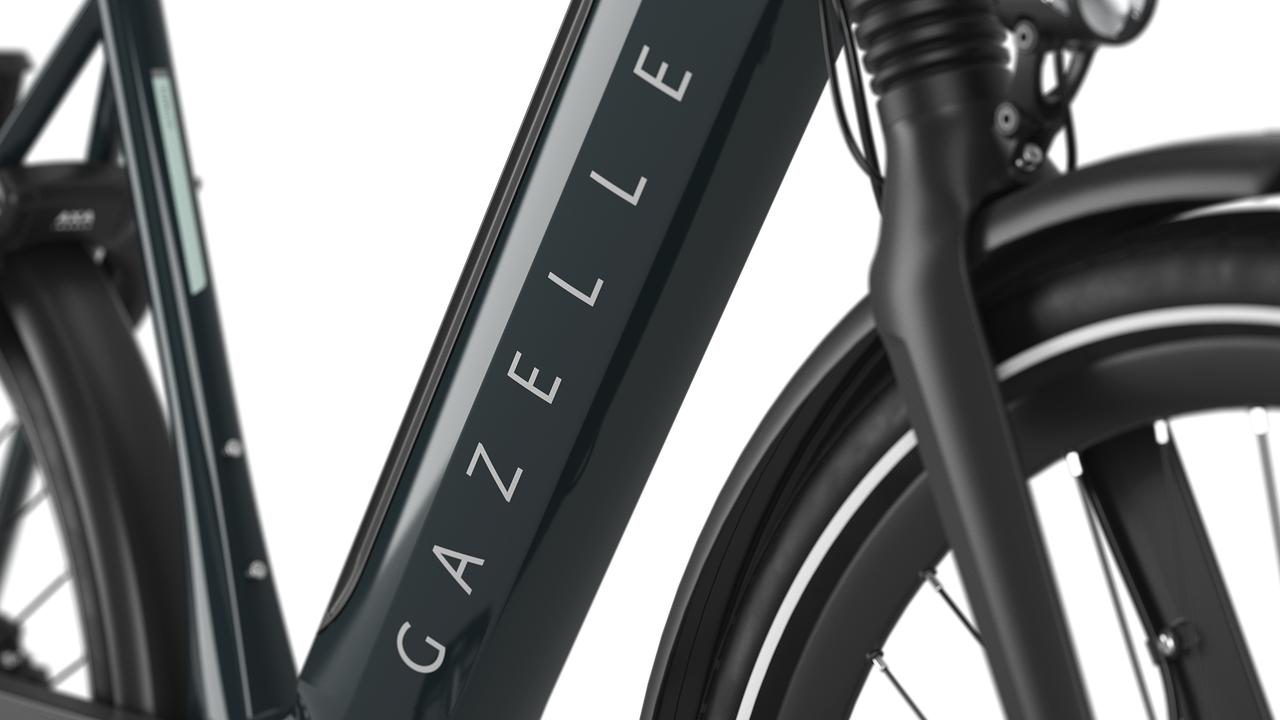 Gazelle Ultimate C8+ rower elektryczny high-step męski pine green