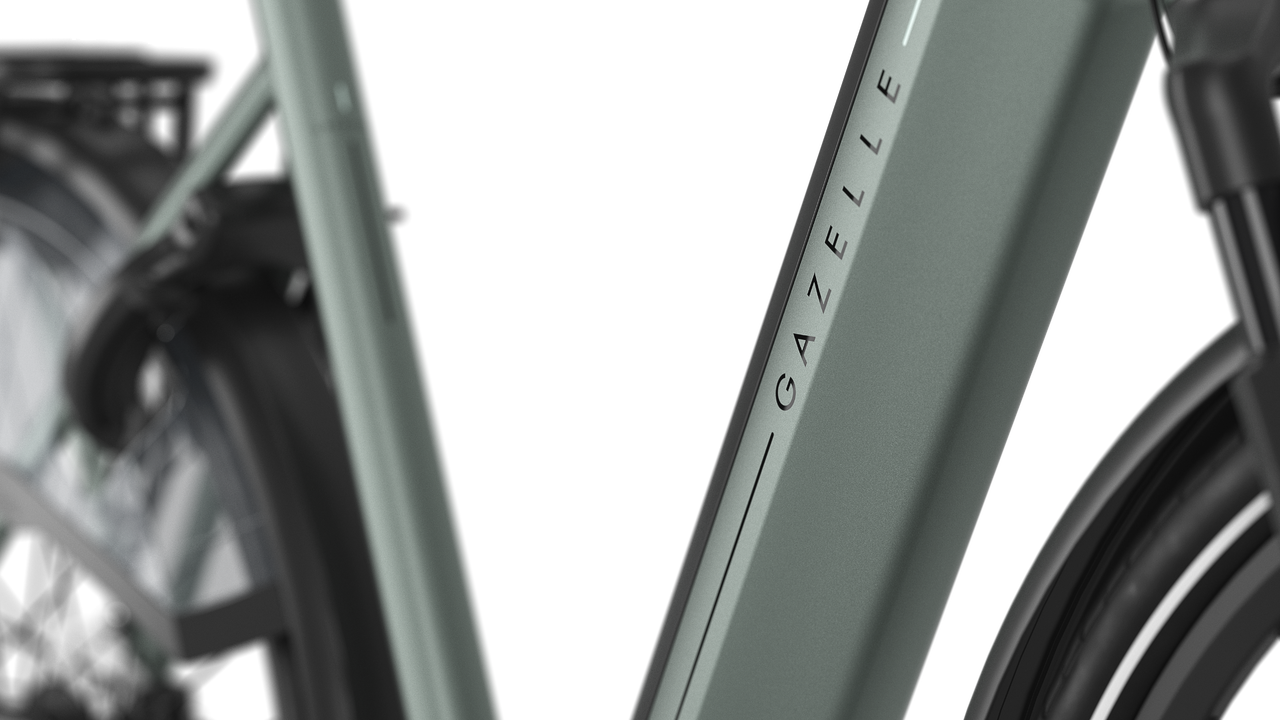 Gazelle Grenoble C8+ rower elektryczny low-step żeński (damka) twilight green